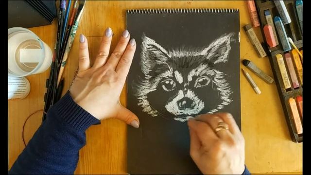 Рисунок енота, сухой пастелью. смотреть онлайн
