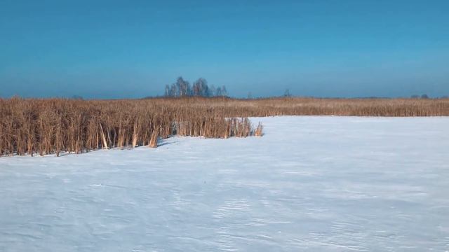 Karpela City. Рыболовный город. Рыбалка для всех. смотреть онлайн