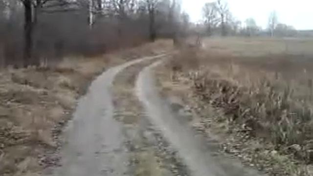 Волк и овчарка смотреть онлайн