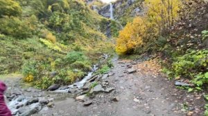 Сочи|Адлер|Поднимаемся в горы|Красная поляна| Сколько стоит подъем на канатной дороге|Нас обманули|