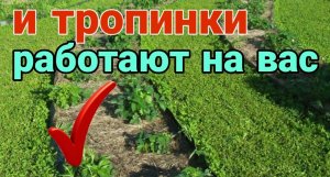 Дорожки на даче в саду и на огороде. Какие тропинки сделать