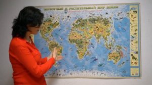 Географические карты для детей