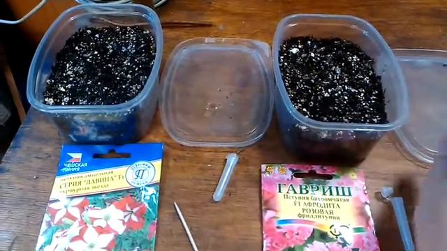 Посадка петунии. смотреть онлайн