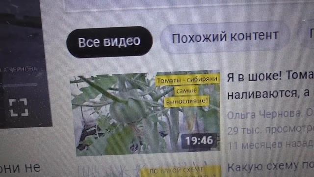 Рассада томатов зацвела дома на окне! Что делать? Нужно ли обрывать первые цветы? Как высаживать? смотреть онлайн
