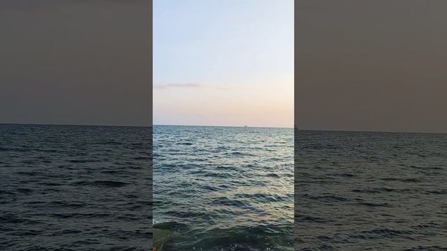 Черноморское побережье #Природа #море #BlackSea