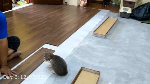 V#1 - TRYING TO INSTALL LAMINATE FLOOR FOR MY HOUSE