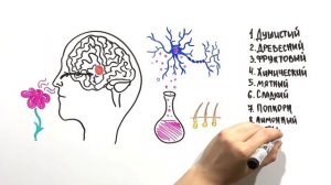 Что такое запах?