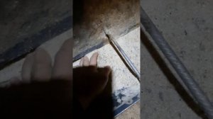 Бункерная кормушка для свиней любого возраста!???