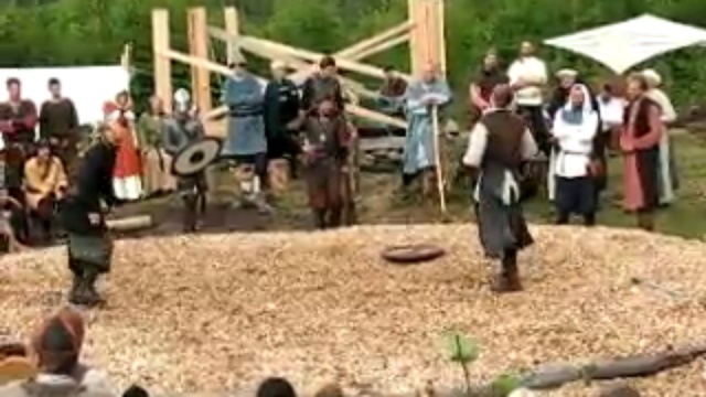 Vikingi