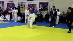 Чистои броски самбо