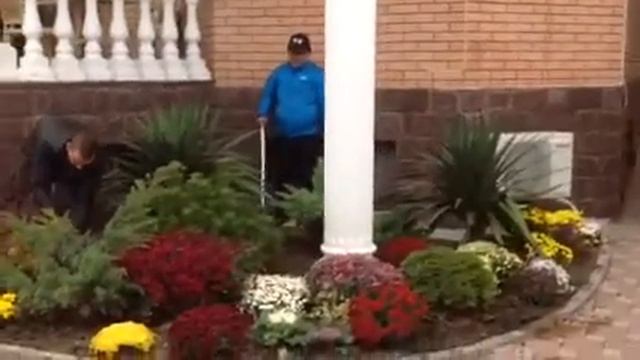 ВИТЯЗЕВО У ЛЮБОМИРА ДОМА смотреть онлайн