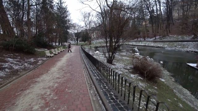Лебеди и утки в Стрийском парке зимой Львов Сельская Жизнь смотреть онлайн