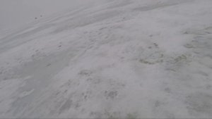 ОБЗОР и ТЕСТИРОВАНИЕ ШУРУПОВЕРТА со ШНЕКОМ ЛЕДОБУРА Milwaukee M18 2804 20 и шнек NERO 150мм