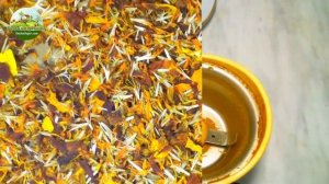 Имеретинский шафран - прекрасная пряность из бархатцев.