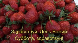 Здравствуй, суббота! | Караоке со словами | Христианские Песни