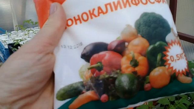 Подкормка томатов после пикировки. смотреть онлайн