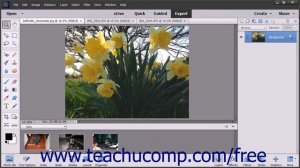 Photoshop Elements 15 Tutorial The Photo Bin Adobe Training