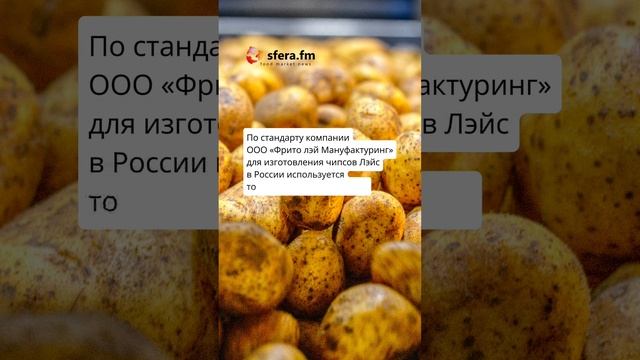 Какой картофель необходимо выращивать для производства чипсов «Lay’s»