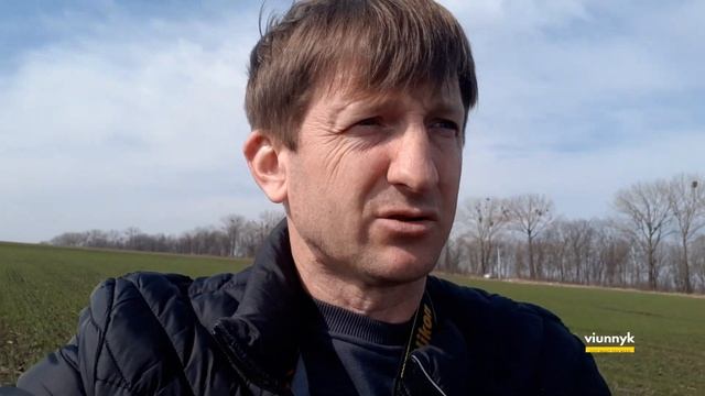 Нерозкущена озимина: ненашкодь, а допоможи!