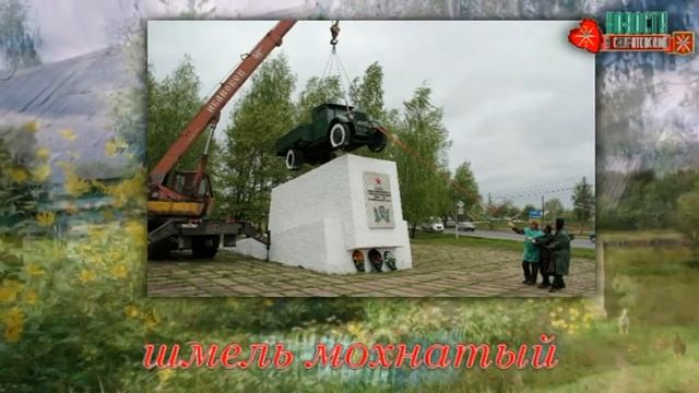 Снится мне деревня посёлок Куратова г Тула смотреть онлайн