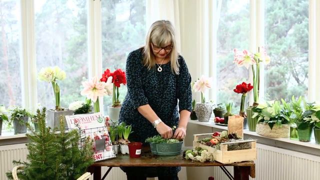 Drömhem & Trädgård visar hur du kan göra en vacker julgrupp смотреть онлайн