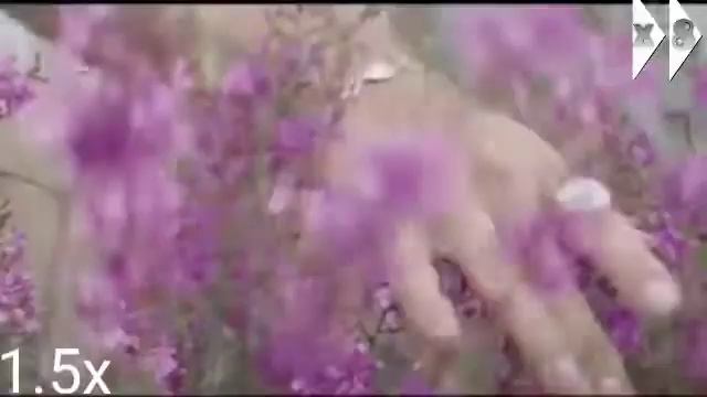 Sokolov - Твоя драгоценная красота в 8х раз быстрее Донат в описании