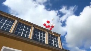 Свадьба Денис и Юлия