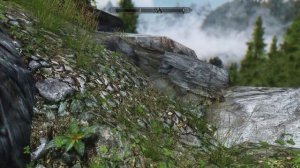 ENB Realvision grass test