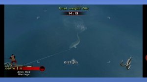 Rapala Pro Bass Fishing (Video Game)