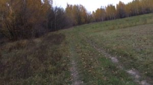 АЙФОН 6S СТАБИЛИЗАЦИЯ ВСЕГО ЛИШЬ ЭЛЕКТРОННАЯ