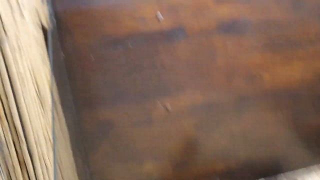 Выставка Кроликов ?Ушастики ?Пухнастики?// смотреть онлайн