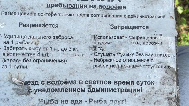 Ловили коропа, а наловили карасів! Перевірили одну з платних водойм!#рибалка#fishing #рыбалкаукраин