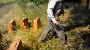 Отбор корпусов с мёдом без удаления пчёл. 2.