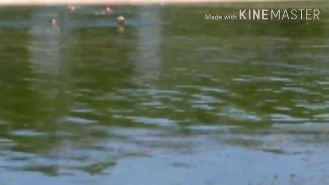 рыбалка на Каховском водохранилище 720p смотреть онлайн