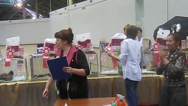 "Cats Форум 2011"Ринг молодых 2-го дня Награждение смотреть онлайн