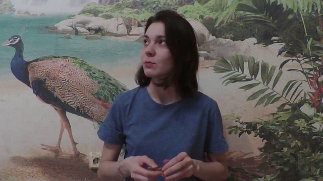 Латунный варган Сергея Дубовкина. Соль 2. Обзор смотреть онлайн