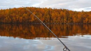 Троллинг под Suzuki 2.5