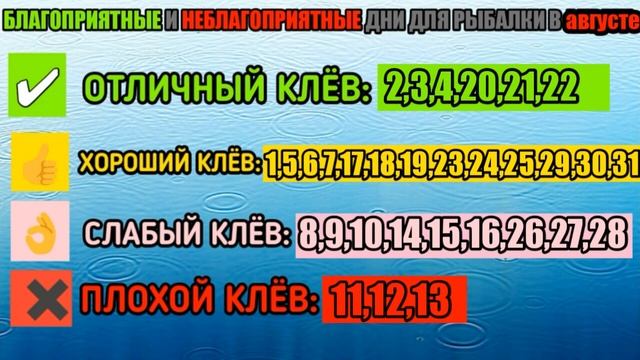 календарь клева рыбы на Август 2022 года Прогноз клева рыбы на эту неделю Календарь клева Август