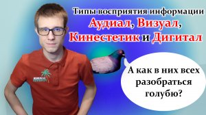 Типы восприятия информации: Аудиал, визуал, кинестетик и дигитал. Кто есть кто?  + тест в конце