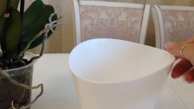 Орхидеи в Леруа по 378 руб! Купила Каменную розу смотреть онлайн