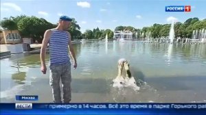 День ВДВ   крылатая пехота  отмечает свой праздник