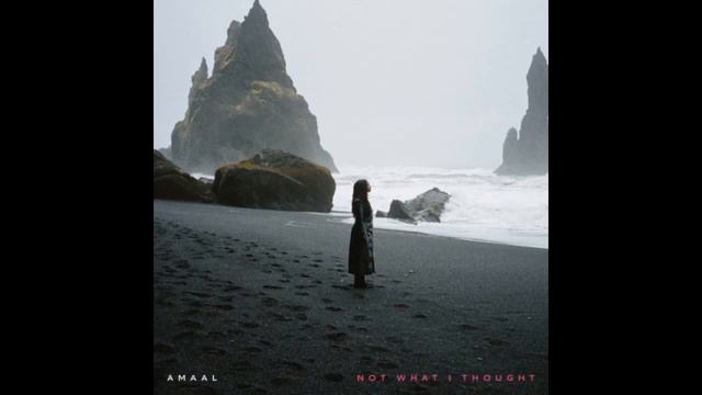 Amaal - Not What I Thought (Reggaeton Remix) смотреть онлайн