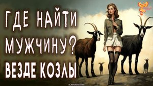 Где найти мужчину? Везде одни козлы!