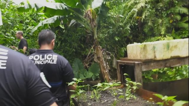 Tahiti : Vivre au Paradis !!! смотреть онлайн