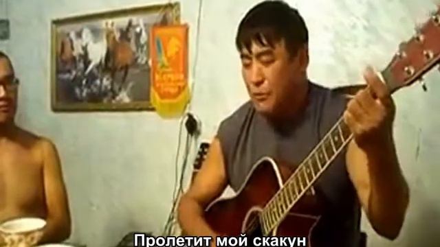 Красиво поёт