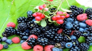 знакомство с жизью народов Севера