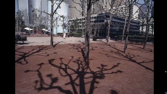 Дмитрий Бортниченко «Учимся снимать на вилках» смотреть онлайн