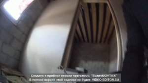 Древоточец, Шашель или короед. Как его победить??