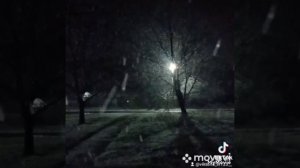 На Кубани ночью выпал снег 🥺 видео было снято 29.03.2023
