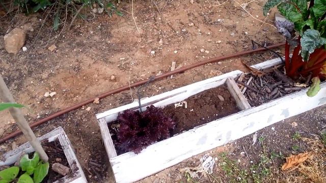 Garden tour April 12th смотреть онлайн